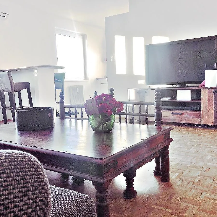 Modern New Danube Apartment, Perfect Location Viena Apartamento